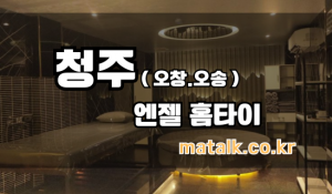 엔젤출장홈타이